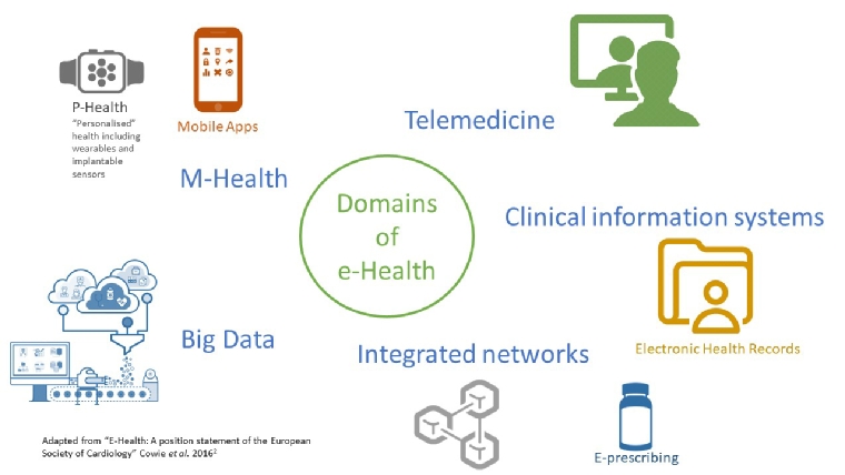 Figure 1. Domains of e-Health