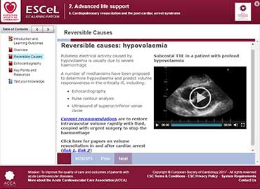 image1_Cardiopulmonary.JPG