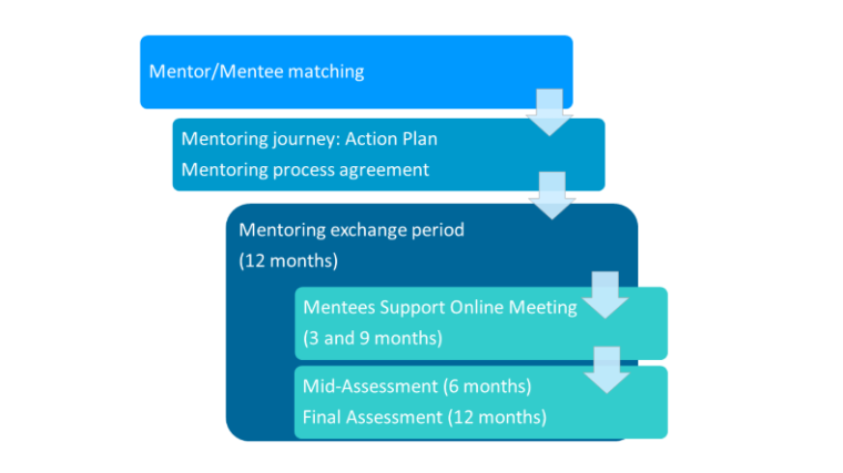 ACNAP Mentoring Journey Diagram V1.png