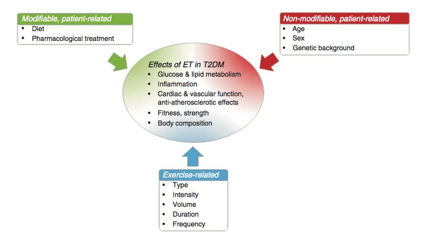 Figure 1. Effects of an exercise programme on target treatment parameters in T2DM