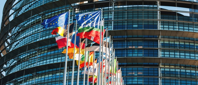 EU and flags 1170X500 top banner.jpg