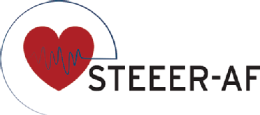 STEEER-AF Project Study