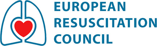 logo_erc_positive.jpg