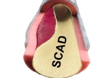 SCAD_Logo.jpg