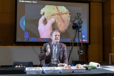 Cardiac-Anatomy-EHRA-2026.png