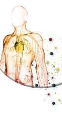 Frontiers in CardioVascular Biomedicine 2026