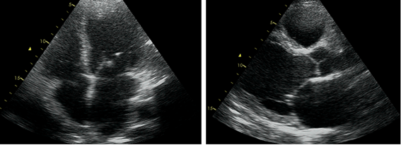 Clinical case_ Fig 3.png