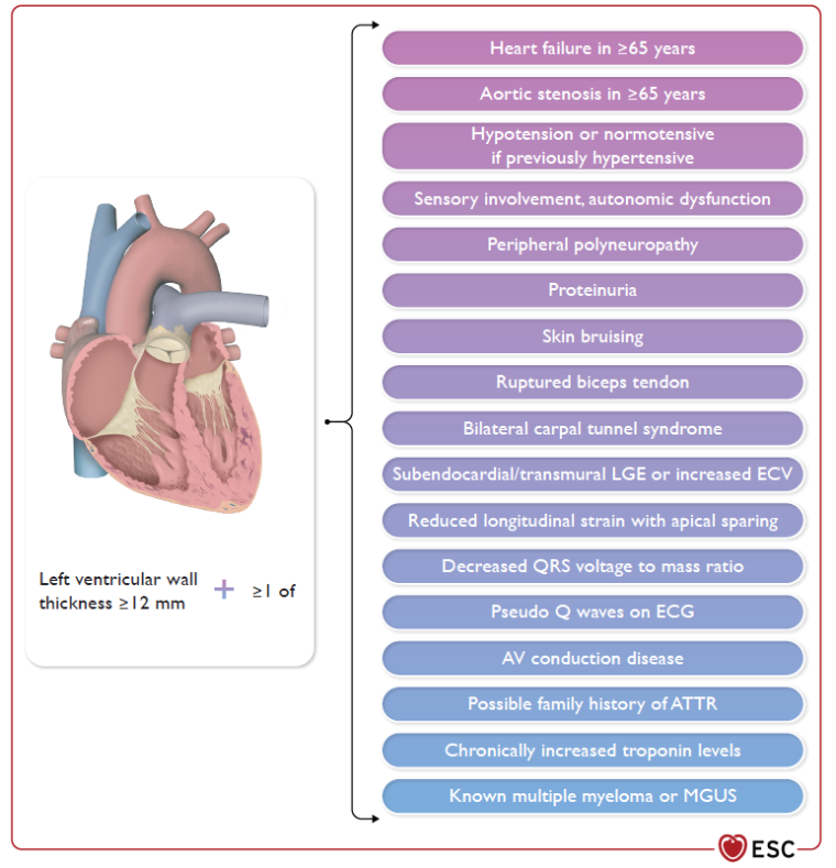 Red flags of cardiac amyloidosis. Extracted from 2023 ESC Guidelines for the management of cardiomyopathies. Arbelo et al. 2023.
