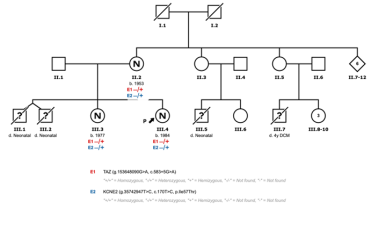 Figure 1. Familial pedigree