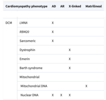 Figure 2. Inheritance patterns of genetic dilated cardiomyopathy. Modified from 2023 ESC Guidelines for the management of cardiomyopathies. Arbelo et al. 2023.  