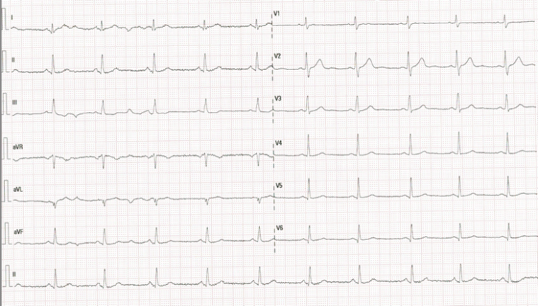 Vol 15 Genomic Insigh CC Figure 1.png
