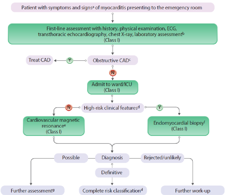 Vol 15 Genomic Insigh HT Figure 1.png