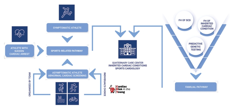 333_Papadakis_FINAL FOR PUBLICATION_Figure 1.jpg
