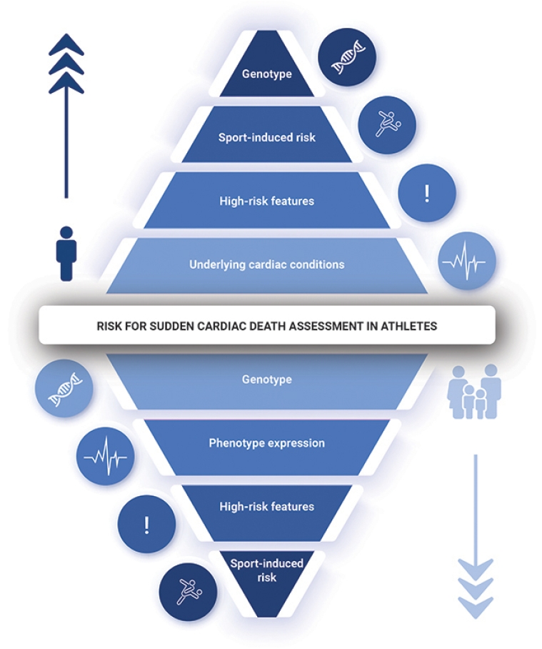 333_Papadakis_FINAL FOR PUBLICATION_Figure 2.jpg