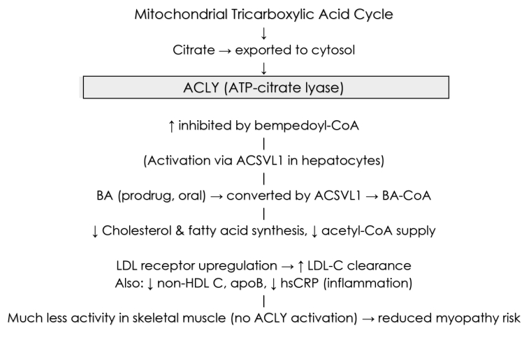 374_Richter_Central Figure_1.jpg