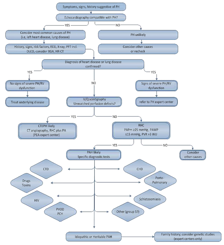 escardio hypertension)