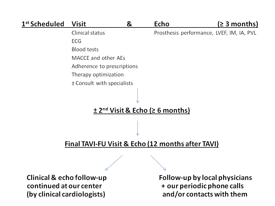 Transthoracic echocardiogram at admission and 6 mo follow up: global