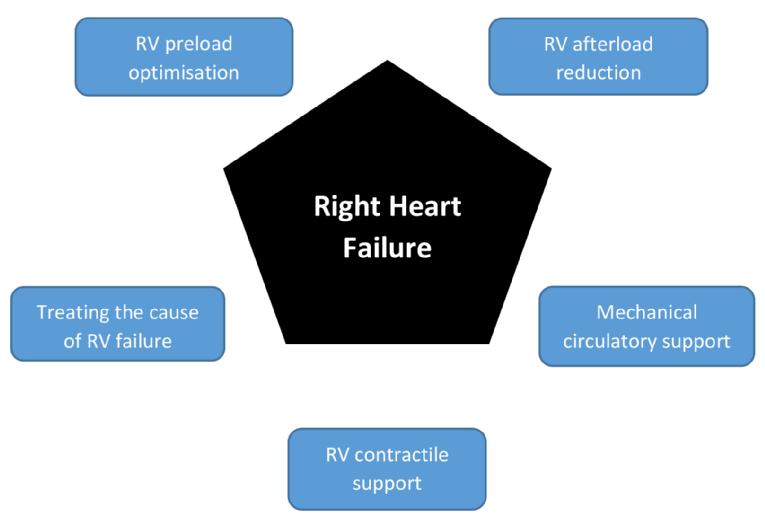 Acute left ventricular failure