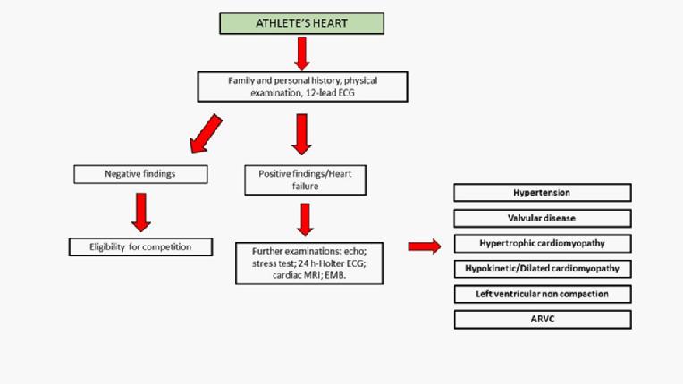 V14_36_Figure 2.jpg