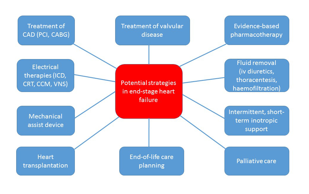 Figure 1. Therapeutic options in ESHF patients. 