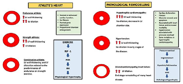 v14_36__Figure 1-v2.jpg