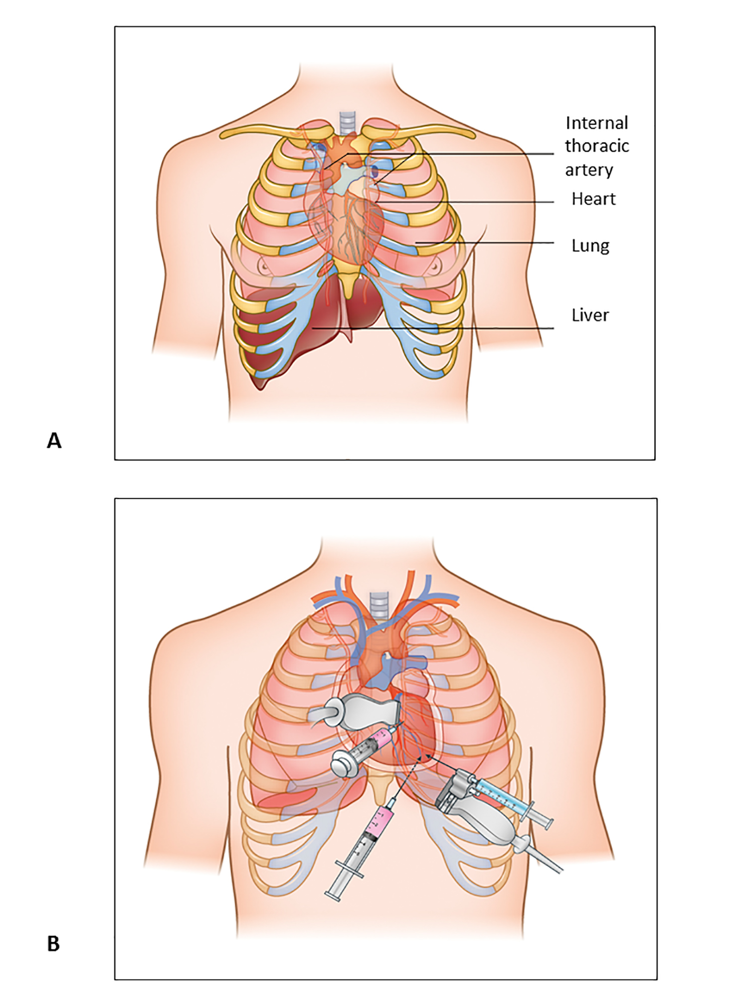 110_DeCarlini__Figure 1.jpg