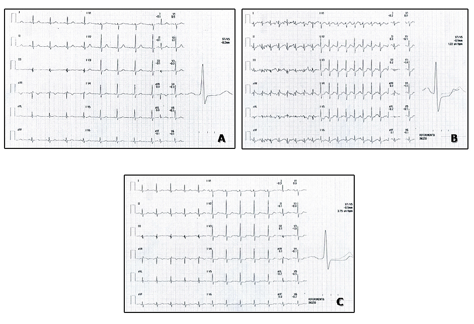 96_Fragasso_Figure 1.jpg