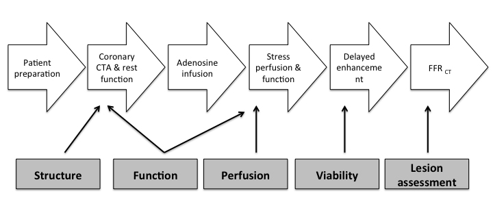 v15_07_Figure 1.jpg