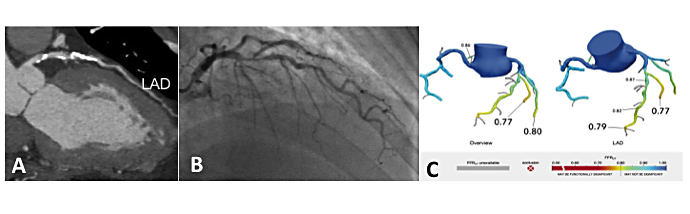 v15_07__Figure 2a.jpg