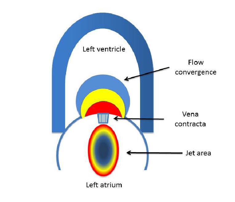 158_Salustri_Figure 2.jpg