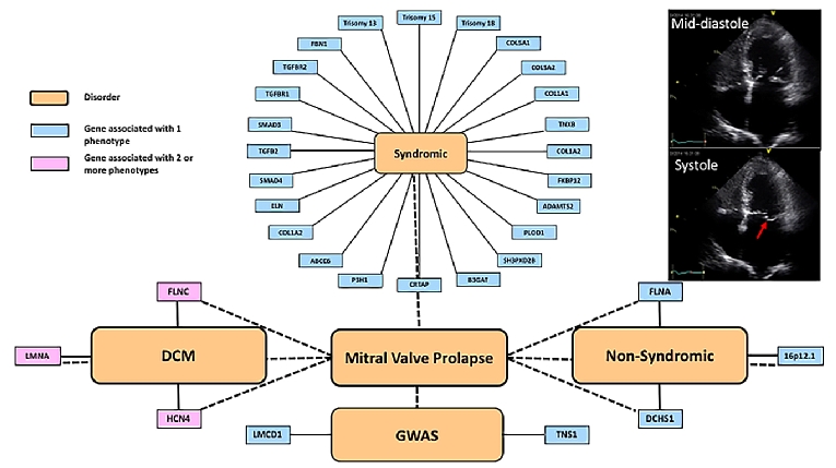 161_Chahal_Figure 1.jpg