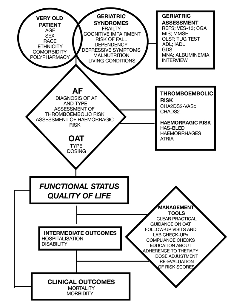 171_Belmonte_FINAL FOR PUBLICATION_Figure1.jpg