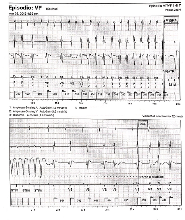 175_Galli_figure 2.jpg