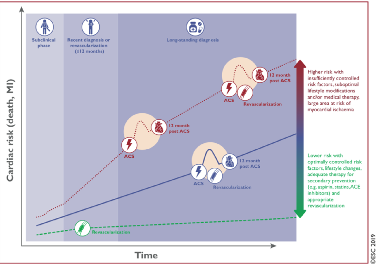 Commentary On The New Esc Guidelines On Chronic Coronary Syndromes