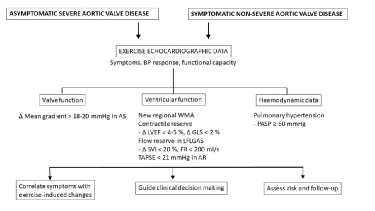 Exercise And Pharmacological Testing Combined With Echocardiography In The Diagnosis Of Aortic Valve Stenosis