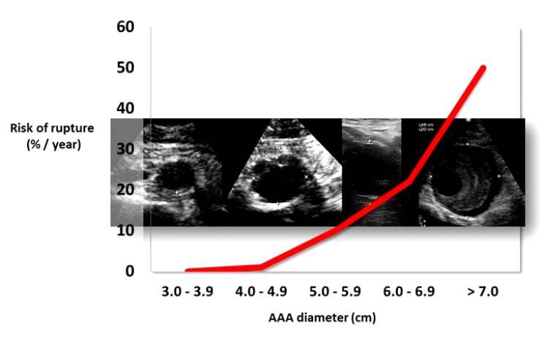 224_Corneli_Figure 1.jpg