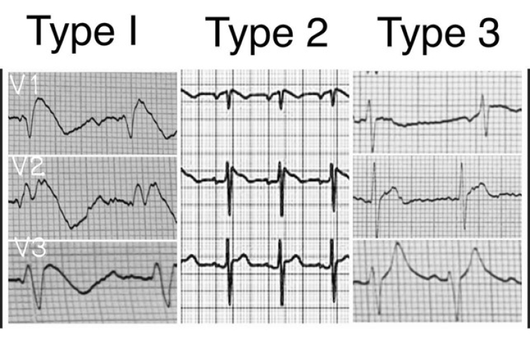 251_Figure 1.jpg