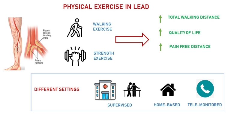 3 Strengthening Exercises for Lower Extremity Injuries - Renew