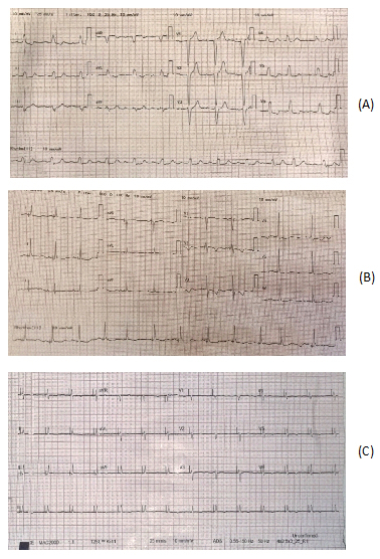 281_Ibrahim_Figure 1.jpg