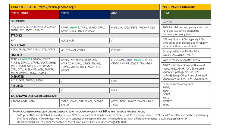 295_Arbustini_Table 1.jpg