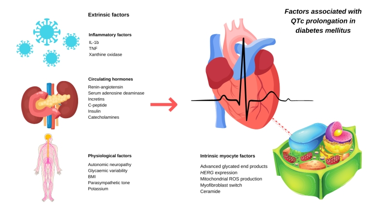 297_Taubel_FINAL FOR PUBLICATION_Figure 2.jpg