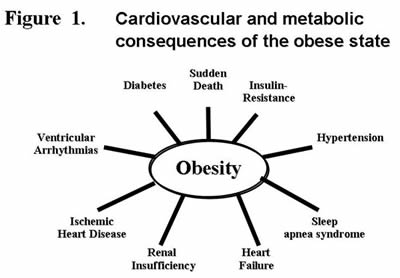 Cardiovascular and metabolic consequences of the obese state