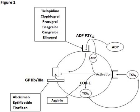 Platelet targets of the most commonly used antiplatelet drugs and novel P2Y12 receptor antagonists