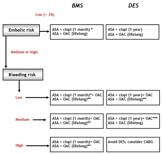 Algorythm for the management of anticoagulant-antiplatelet therapy in patients receiving coronary stents