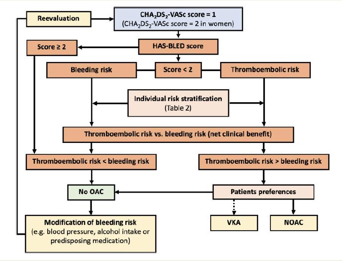 Figure 1. Decision tree for oral anticoagulation in patients with atrial fibrillation.jpg