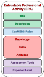 Entrustable Professional Activity (EPA)
