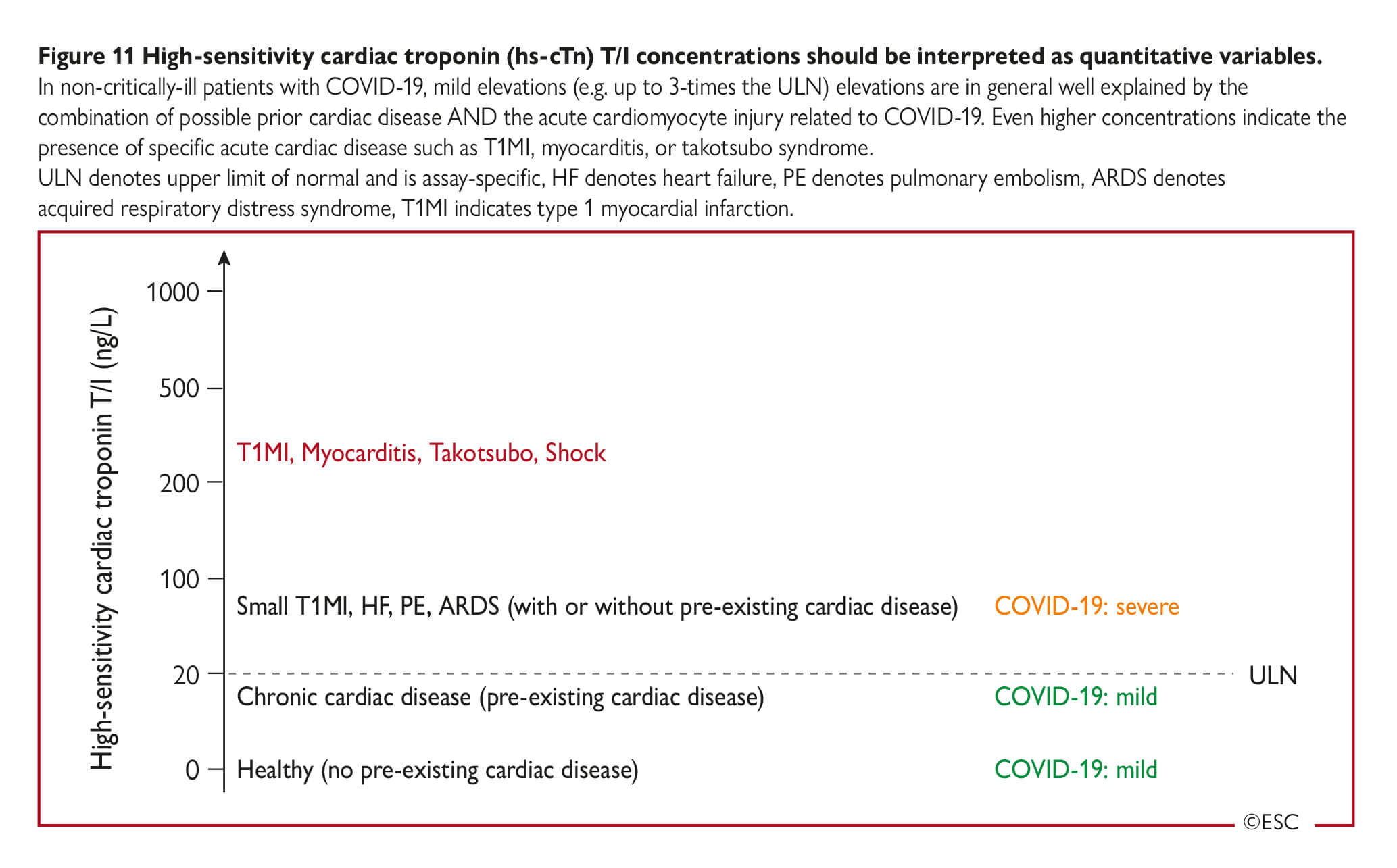 Esc Guidance For The Diagnosis And Management Of Cv Disease During The Covid 19 Pandemic