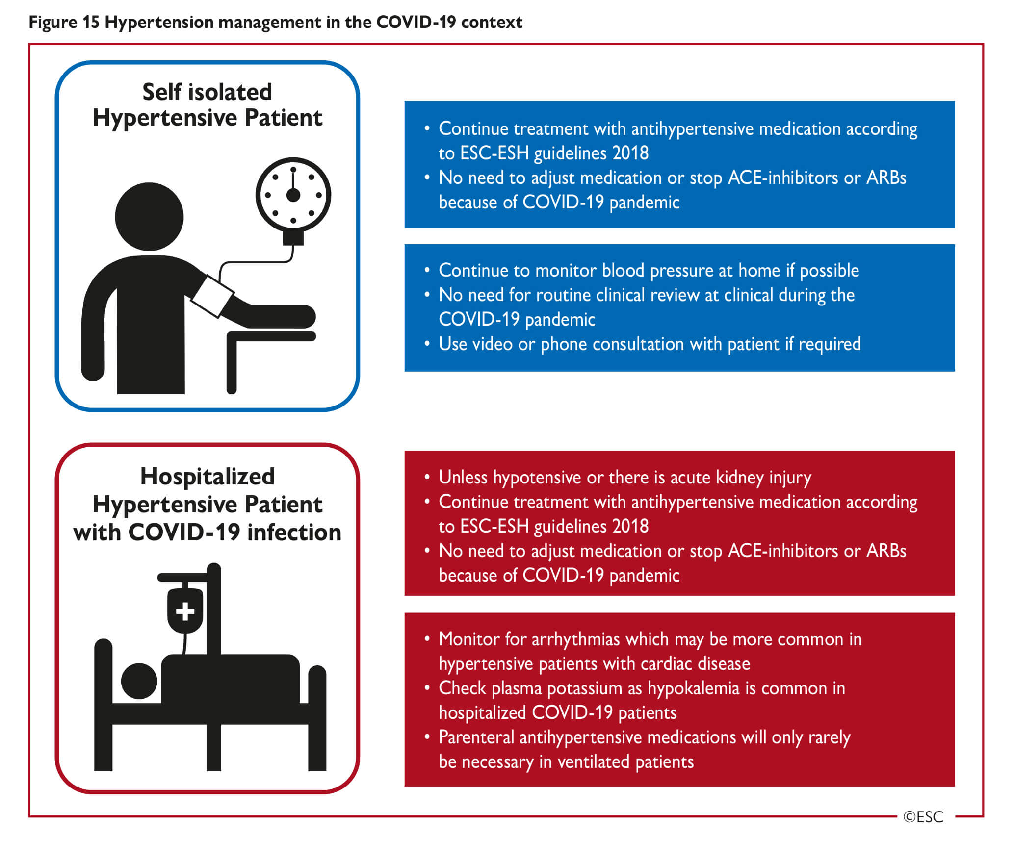 Esc Guidance For The Diagnosis And Management Of Cv Disease During The Covid 19 Pandemic