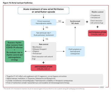 Esc Guidance For The Diagnosis And Management Of Cv Disease During The Covid 19 Pandemic