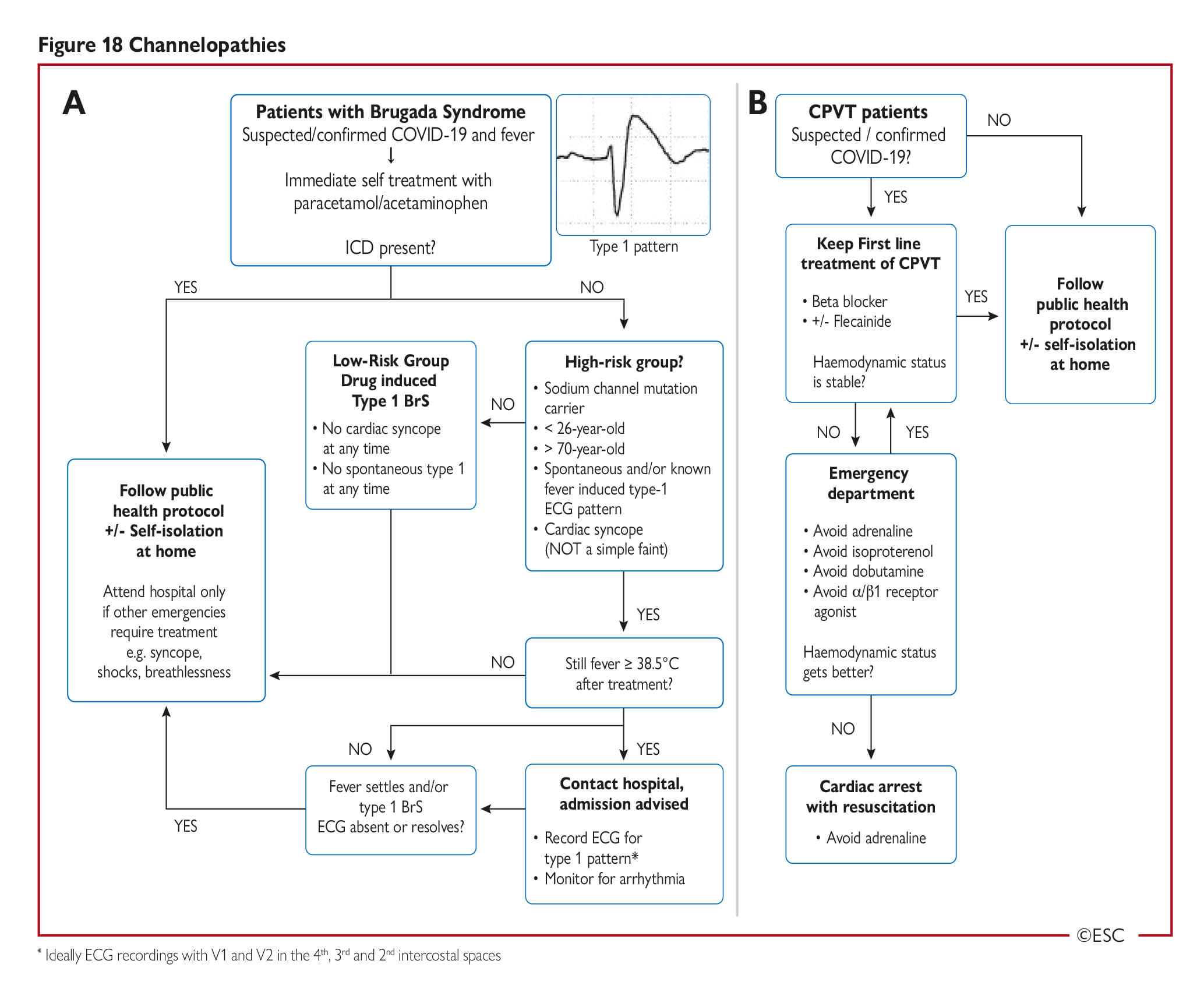 Esc Guidance For The Diagnosis And Management Of Cv Disease During The Covid 19 Pandemic